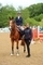 Ceri Chapman and Perla Blue Storm to Victory in the Final Nupafeed Senior Discovery Second Round  at Hartpury University